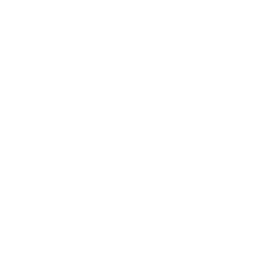 Duke Developments Ltd